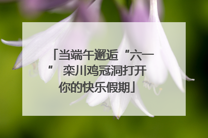 当端午邂逅“六一” 栾川鸡冠洞打开你的快乐假期