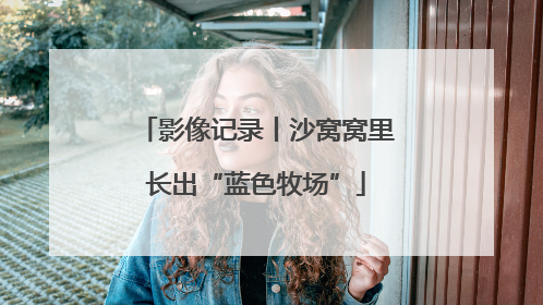 影像记录丨沙窝窝里长出“蓝色牧场”