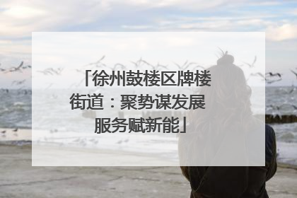 徐州鼓楼区牌楼街道：聚势谋发展 服务赋新能