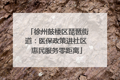 徐州鼓楼区琵琶街道：医保政策进社区 惠民服务零距离