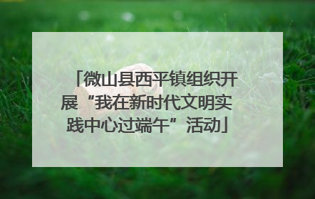 微山县西平镇组织开展“我在新时代文明实践中心过端午”活动