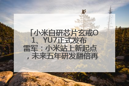 小米自研芯片玄戒O1、YU7正式发布 雷军：小米站上新起点，未来五年研发翻倍再投2000亿元