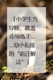 小学生当导师、跳蚤市场练手……幼小衔接的“宿迁解法”