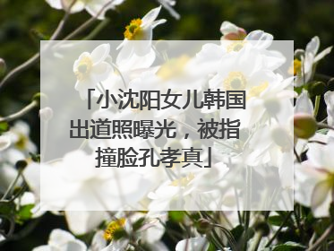 小沈阳女儿韩国出道照曝光，被指撞脸孔孝真