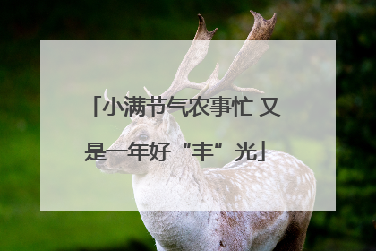 小满节气农事忙 又是一年好“丰”光