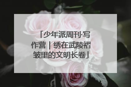 少年派周刊·写作营｜绣在武陵褶皱里的文明长卷