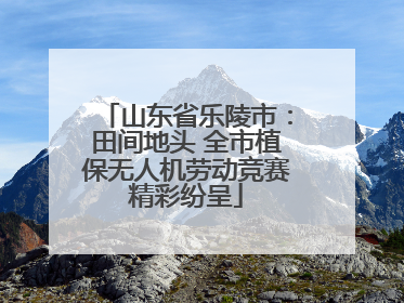 山东省乐陵市：田间地头 全市植保无人机劳动竞赛精彩纷呈