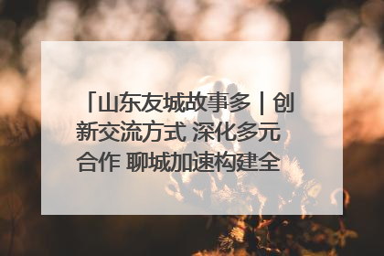 山东友城故事多｜创新交流方式 深化多元合作 聊城加速构建全球友城新格局