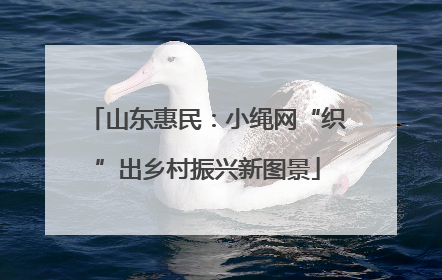 山东惠民：小绳网“织”出乡村振兴新图景