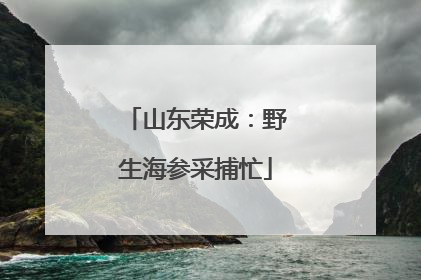 山东荣成：野生海参采捕忙