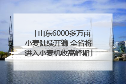 山东6000多万亩小麦陆续开镰 全省将进入小麦机收高峰期