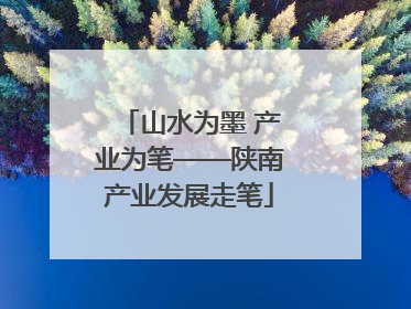 山水为墨 产业为笔——陕南产业发展走笔