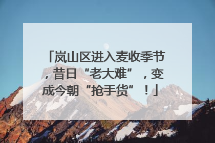 岚山区进入麦收季节，昔日“老大难”，变成今朝“抢手货”！