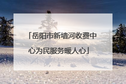 岳阳市新墙河收费中心为民服务暖人心