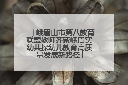 峨眉山市第八教育联盟教师齐聚峨眉实幼共探幼儿教育高质量发展新路径