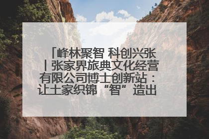 峰林聚智 科创兴张丨张家界旅典文化经营有限公司博士创新站：让土家织锦“智”造出非遗新传奇