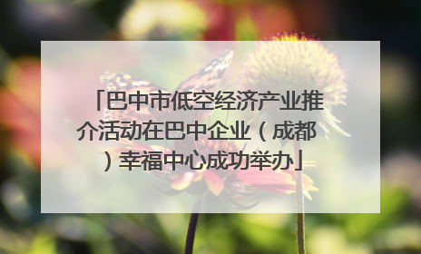巴中市低空经济产业推介活动在巴中企业（成都）幸福中心成功举办