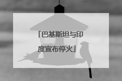 巴基斯坦与印度宣布停火
