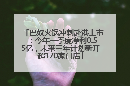 巴奴火锅冲刺赴港上市：今年一季度净利0.55亿，未来三年计划新开超170家门店