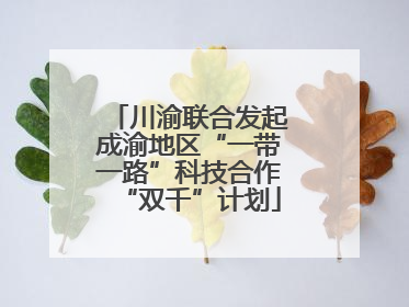 川渝联合发起成渝地区“一带一路”科技合作“双千”计划