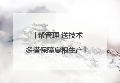 帮管理 送技术 多措保障夏粮生产