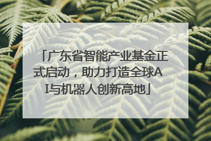 广东省智能产业基金正式启动，助力打造全球AI与机器人创新高地