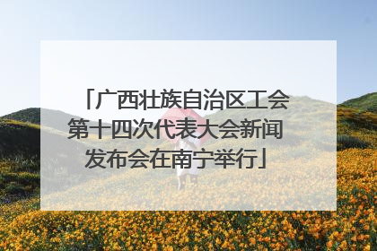 广西壮族自治区工会第十四次代表大会新闻发布会在南宁举行