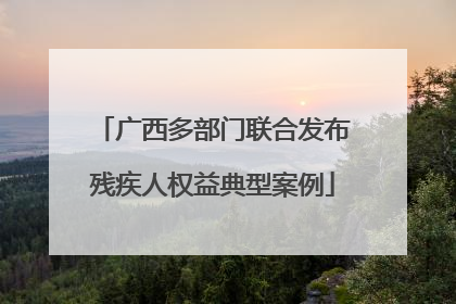 广西多部门联合发布残疾人权益典型案例