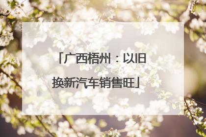 广西梧州：以旧换新汽车销售旺