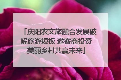 庆阳农文旅融合发展破解旅游短板 邀客商投资美丽乡村共赢未来