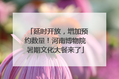 延时开放，增加预约数量！河南博物院暑期文化大餐来了