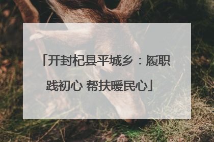 开封杞县平城乡：履职践初心 帮扶暖民心