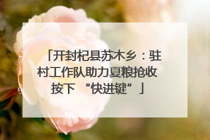 开封杞县苏木乡：驻村工作队助力夏粮抢收按下 “快进键”