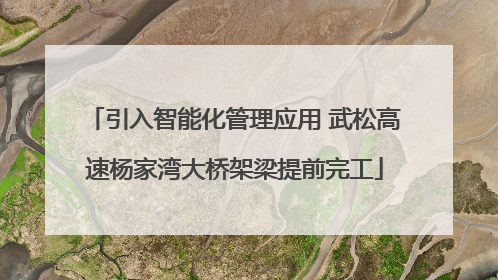 引入智能化管理应用 武松高速杨家湾大桥架梁提前完工