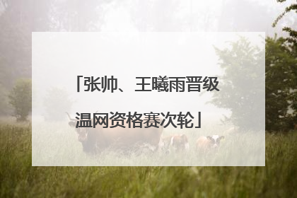 张帅、王曦雨晋级温网资格赛次轮