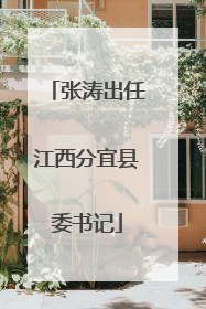 张涛出任江西分宜县委书记