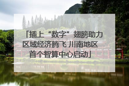 插上“数字”翅膀助力区域经济腾飞 川南地区首个智算中心启动