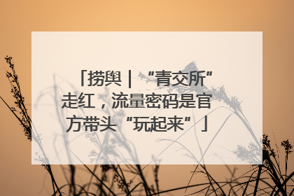 捞舆｜“青交所”走红，流量密码是官方带头“玩起来”