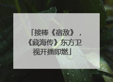 接棒《宿敌》，《藏海传》东方卫视开播即燃