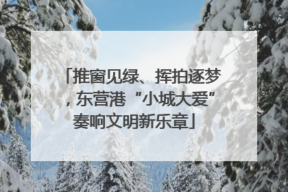 推窗见绿、挥拍逐梦，东营港“小城大爱”奏响文明新乐章