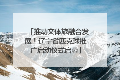推动文体旅融合发展！辽宁省匹克球推广启动仪式启幕