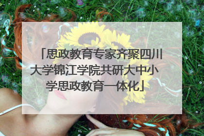 思政教育专家齐聚四川大学锦江学院共研大中小学思政教育一体化