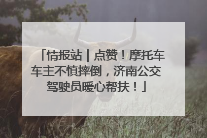 情报站｜点赞！摩托车车主不慎摔倒，济南公交驾驶员暖心帮扶！