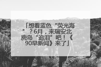 想看蓝色“荧光海”？6月，来瑞安北麂岛“追泪”吧！《90早新闻》来了
