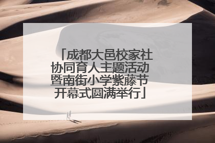 成都大邑校家社协同育人主题活动暨南街小学紫藤节开幕式圆满举行