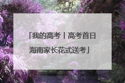 我的高考丨高考首日 海南家长花式送考