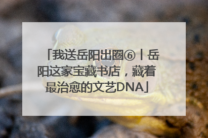 我送岳阳出圈⑥丨岳阳这家宝藏书店，藏着最治愈的文艺DNA