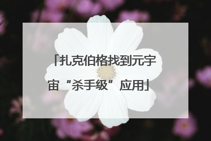 扎克伯格找到元宇宙“杀手级”应用