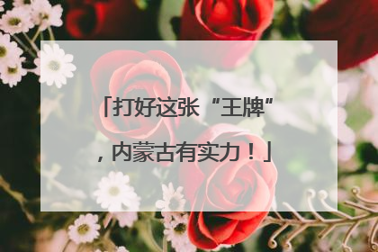 打好这张“王牌”，内蒙古有实力！