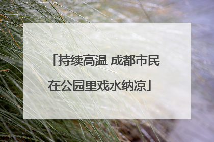 持续高温 成都市民在公园里戏水纳凉